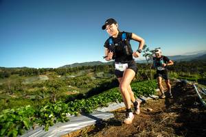 BIB: 312
                            <button type="button" onclick="openModal(19116958)" class="btn btn-primary btn-sm float-right btn-popup" data-toggle="modal" data-target=".modal-high-quality">
                        <i class="fas fa-shopping-cart"></i> Add to Cart
                    </button>
                                            <button type="button" onclick="isThisMe(19116958, true)" class="btn btn-success btn-sm float-right btn-popup btn-isme hidden" data-toggle="tooltip" data-placement="bottom" title="นี่คือรูปของคุณใช่ไหม คลิกที่นี่เพื่อเอาเข้าอัลบั้ม">
                        <i class="fas fa-plus"></i> Add to album
                    </button>
                    <button type="button" onclick="isThisMe(19116958, false)" class="btn btn-warning btn-sm float-right btn-popup btn-isnotme hidden">
                        <i class="fas fa-ban"></i> Remove from album
                    </button>